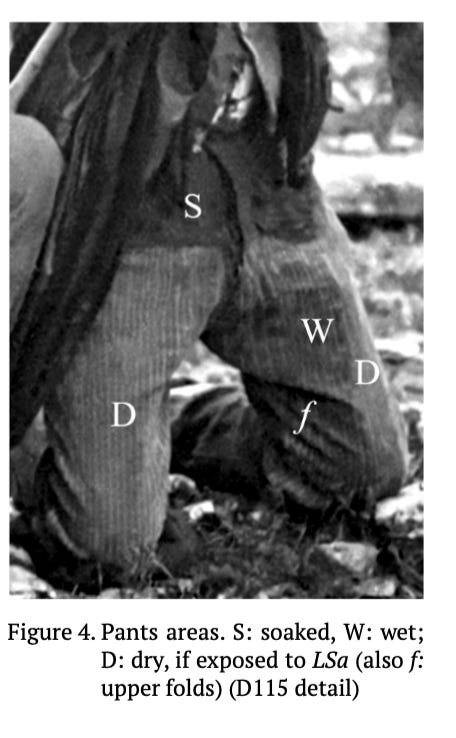 A black and white photograph from Fr. Philippe Dalleur's paper: a detail of a
kneeling witness's trousers at Fátima, labelled S for soaked, W for wet and D
for dry